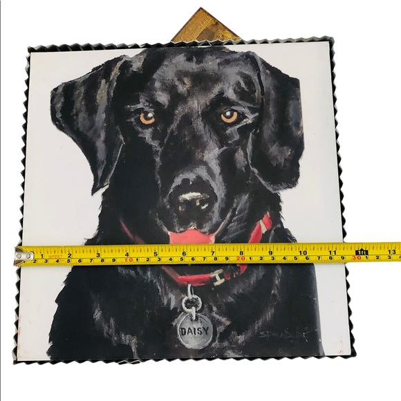 Black Lab Picture - Picture 5 of 7